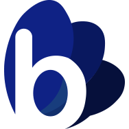 Birina Logo